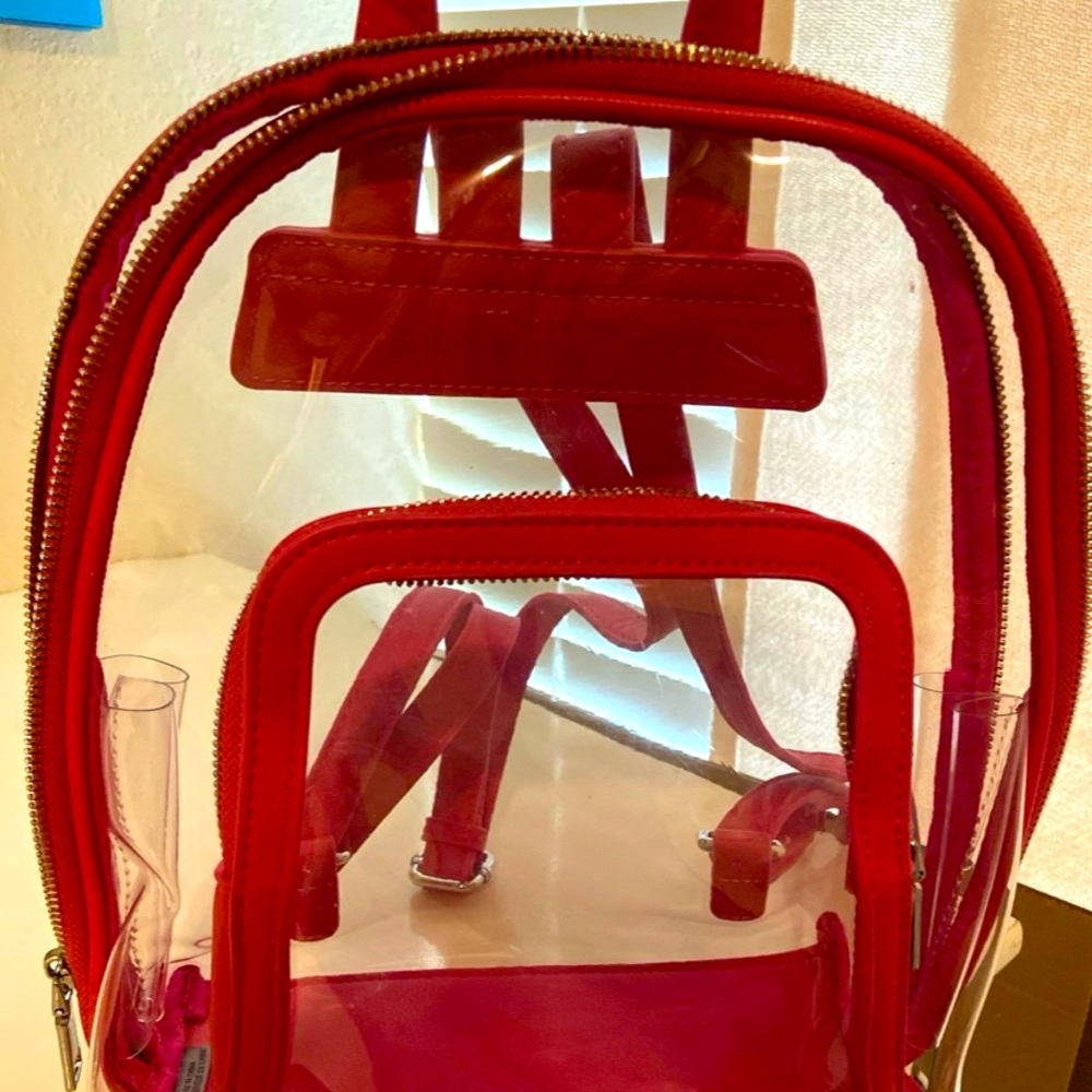 Clear Backpack - image 1